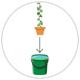 Hedera in pot water geven | Gardline